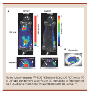 Configurazione elettronica lutezio