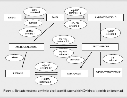 7 giorni per migliorare il tuo modo di franco columbu steroidi